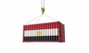 مستندات التصدير من مصر