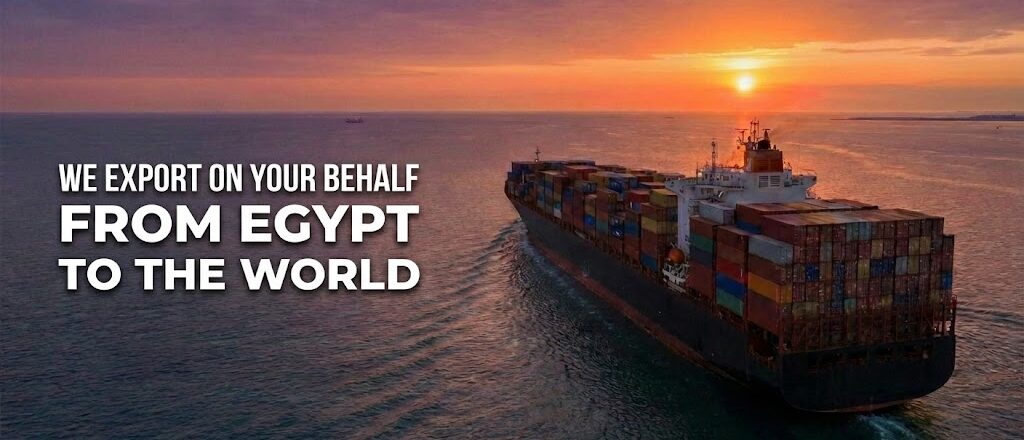 الدليل الشامل لخدمة التصدير لحساب الغير (EOR) في مصر